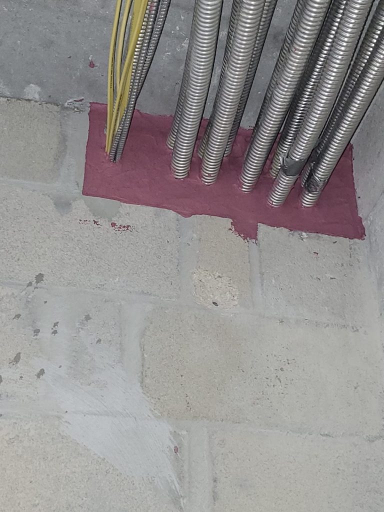 WhatsApp Image 2025-04-15 at 8.44.14 PM